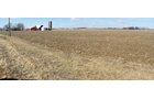 Property photo 30 - 127 Acres Offered in 4 Tracts